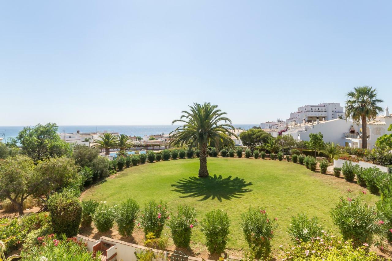 Chiquita Place, Luz Dış mekan fotoğraf
